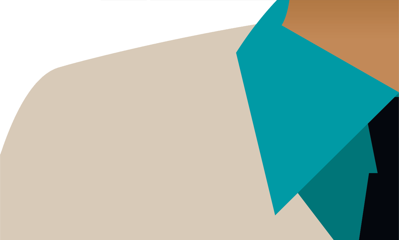Face segment