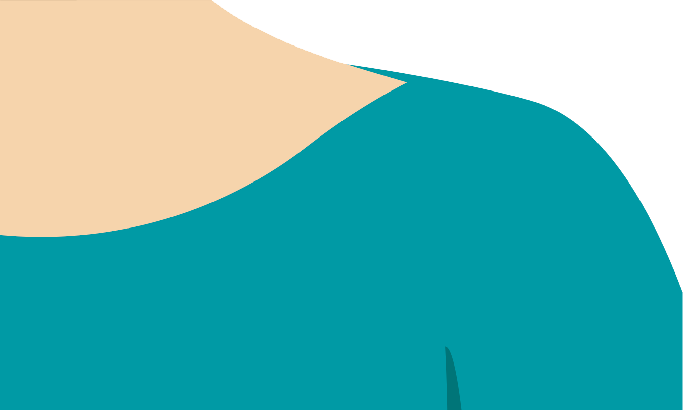 Face segment
